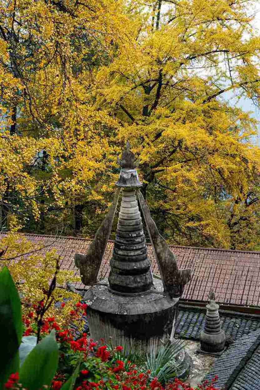 广西这十个地方，去过五个算你厉害，全去过的人不多-第2张图片-四川省中国青年旅行社